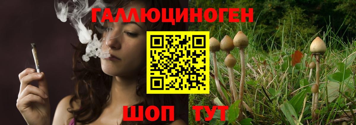 Нарткала  Галлюциногенные грибы Psilocybe  Вход с VPN 